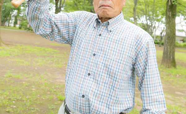 老後の頼りは…年金より就労収入 20~40代の意識調査 厚労省