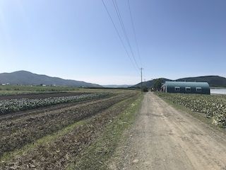 実家