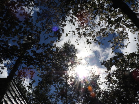DSCN3410