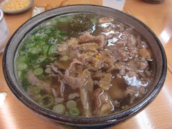 はびきのうどん
