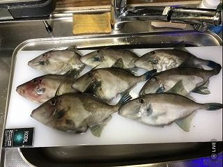 写真 2018-12-14 16 39 33