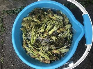 写真 2018-04-06 10 00 43