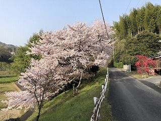 写真 2018-04-01 8 04 51