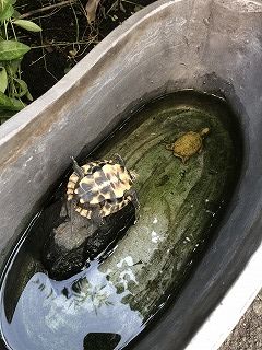 写真 2018-08-11 9 06 43