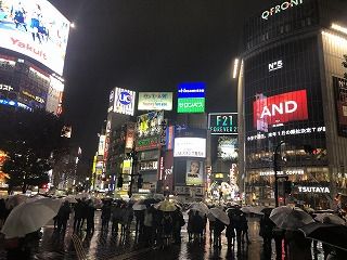 IMG_0333