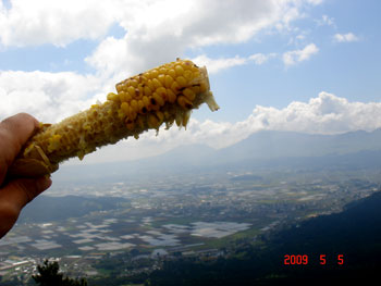 corninaso