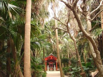 AOSHIMA-SHRINE