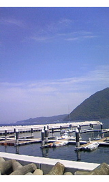 5a5e8912.jpg