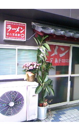 72c7f546.jpg