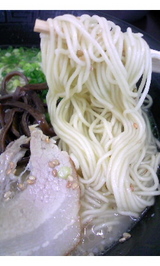 8110953f.jpg