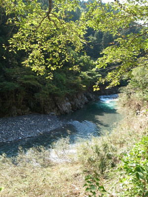 ee787596.jpg