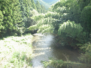 8aee5a97.jpg