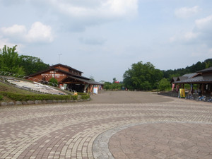 8c461139.jpg