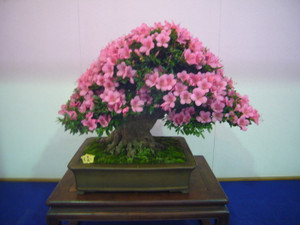 004ef097.jpg