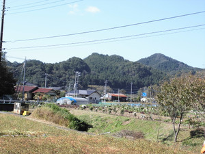 0505c329.jpg