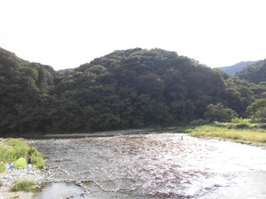 0f73340f.jpg