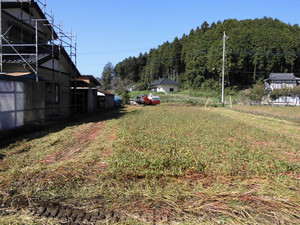 183ff1e8.jpg