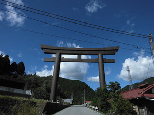 2394cb0a.jpg