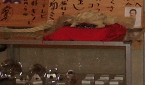 453e8d45.jpg