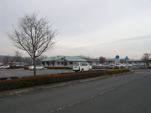 481582fd.jpg