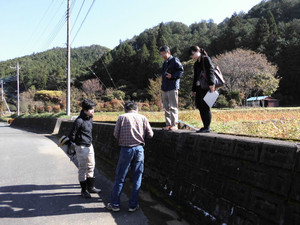 598f5e6a.jpg