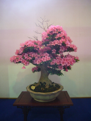 61751bd1.jpg