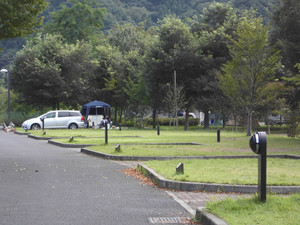 63804d1a.jpg