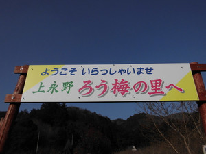 696a7112.jpg