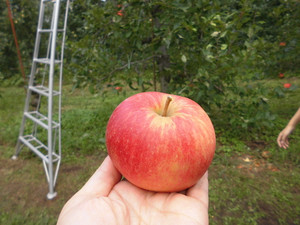 7265e215.jpg