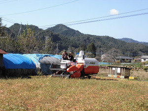 76c0a151.jpg