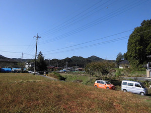 85be08f8.jpg