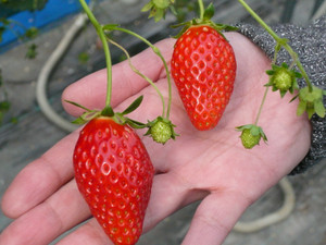 a0f658c1.jpg