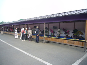f2610e8e.jpg