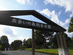 f8734358.jpg