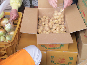 768cc96a.jpg