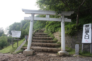 c979c535.jpg