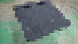 BlogPaint