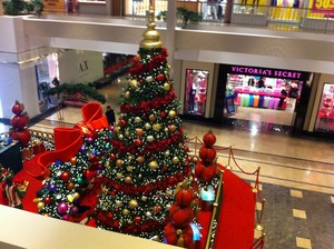 IMG_0522