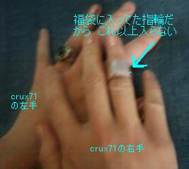 解説