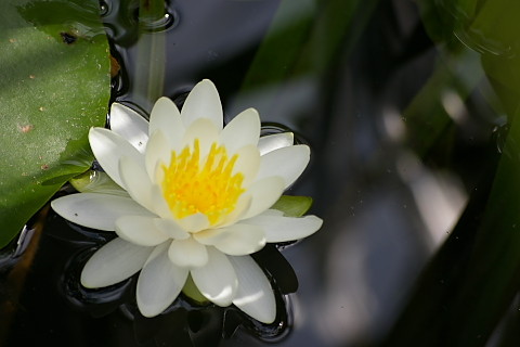 IMGP9170.jpg