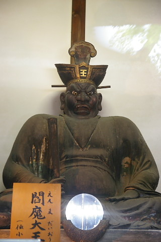 IMGP9487.jpg