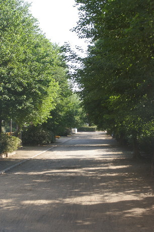 IMGP6056_1.jpg