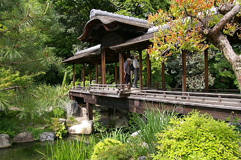 IMGP9173.jpg