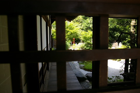 IMGP9491.jpg