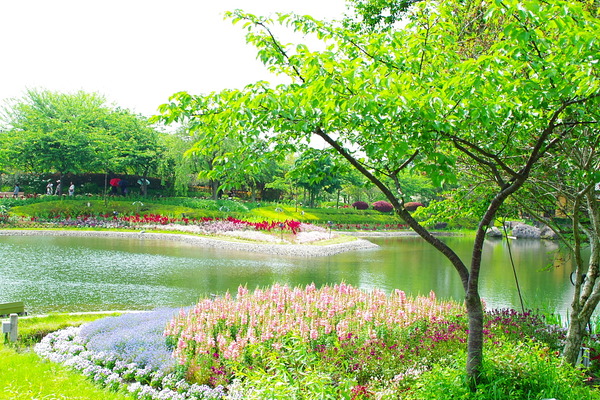 IMGP2321