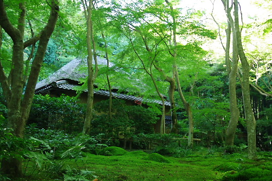 c817209b.jpg