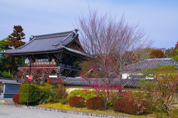 IMGP9718