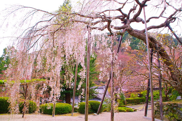IMGP0572