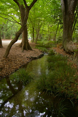IMGP9747.jpg