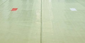 【悲報】2020年東京五輪の柔道で採用される畳、ビニール製で滑りやすい中国製に決定